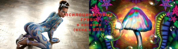 бутират Алзамай