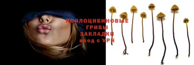 шишки Армянск