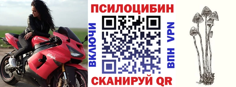 Псилоцибиновые грибы Psilocybe  Гуково 