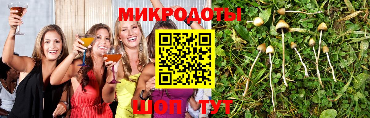 Гуково  Псилоцибиновые грибы Psilocybine cubensis  закладки  Вход с VPN 