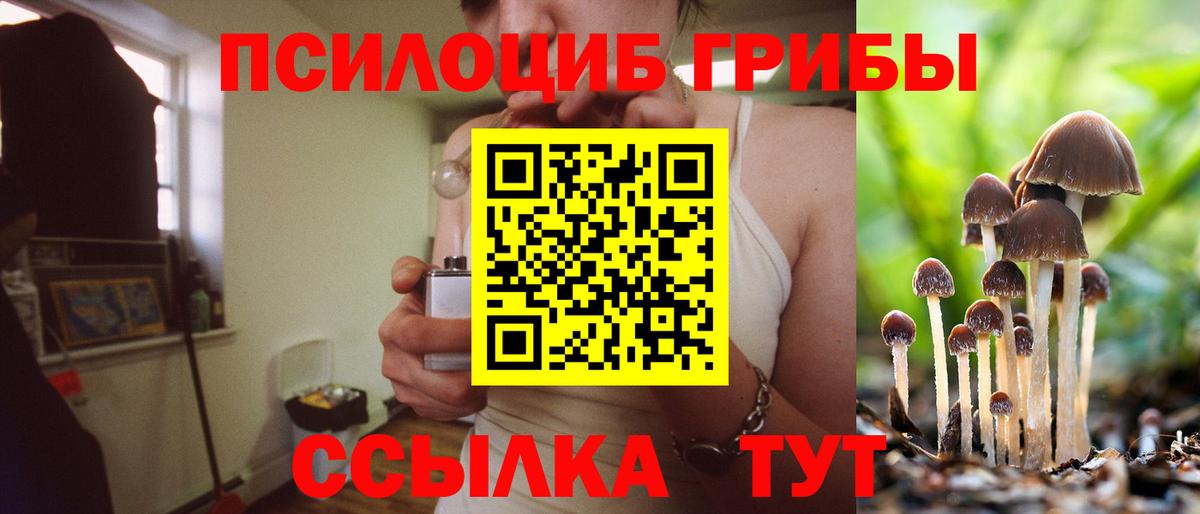 Галлюциногенные грибы мицелий Гуково